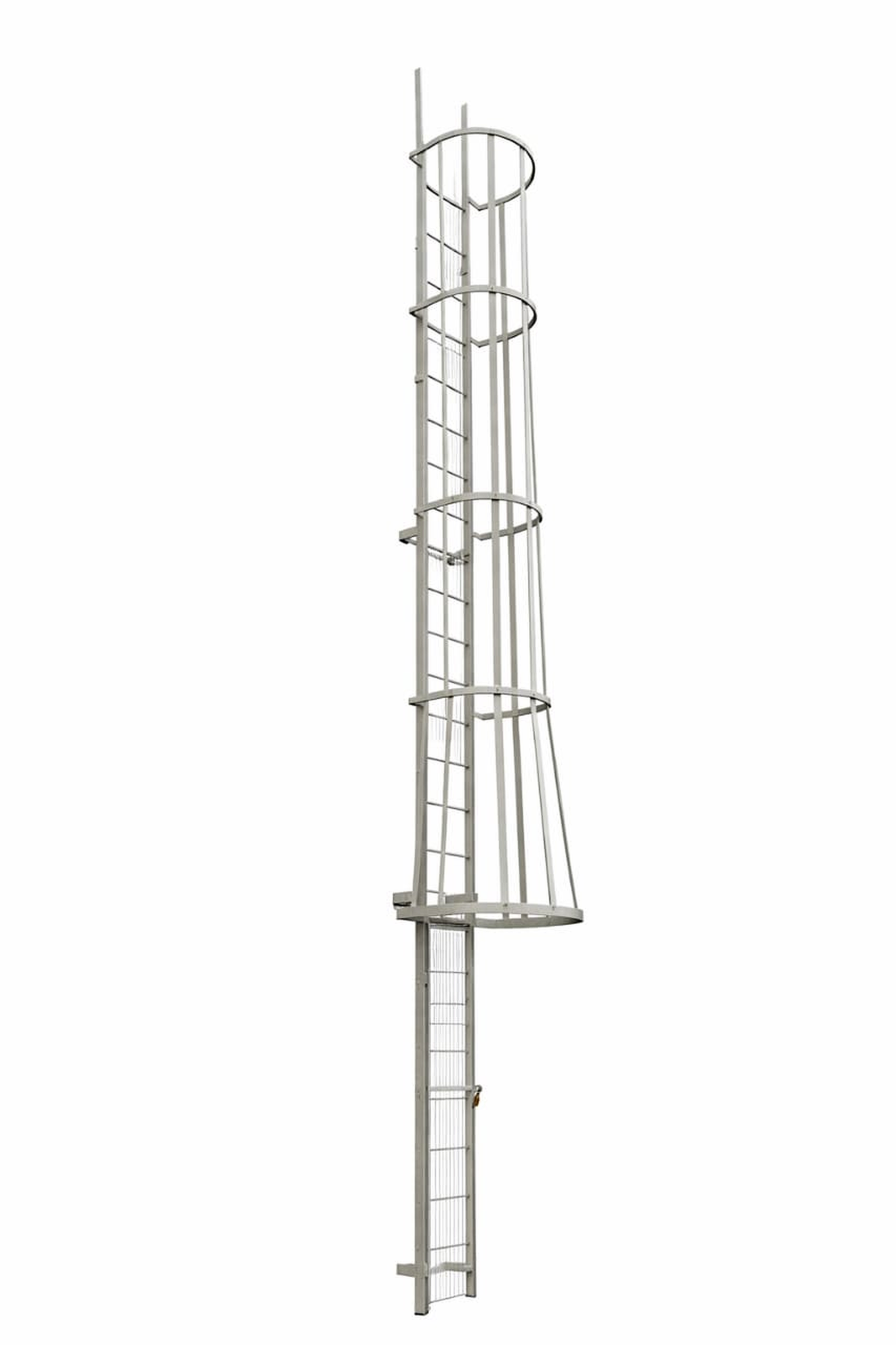 Cage Ladder